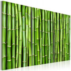 Obraz - Ściana z bambusa
