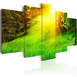 Obraz - Las i słońce